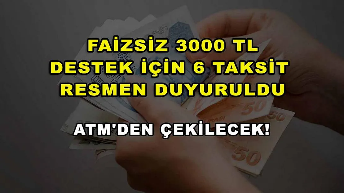Faizsiz 3000 TL destek için 6 taksit resmen duyuruldu: ATM'den çekilecek!