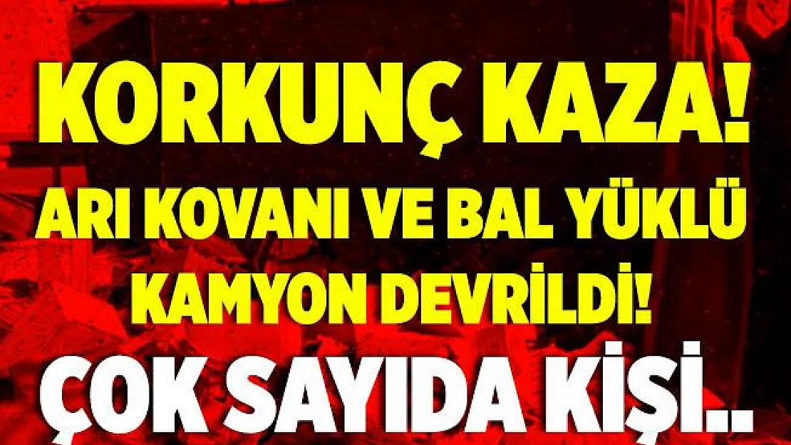 Feci kaza! Arı kovanı ve bal yüklü kamyon devrildi! Çok sayıda kişi..