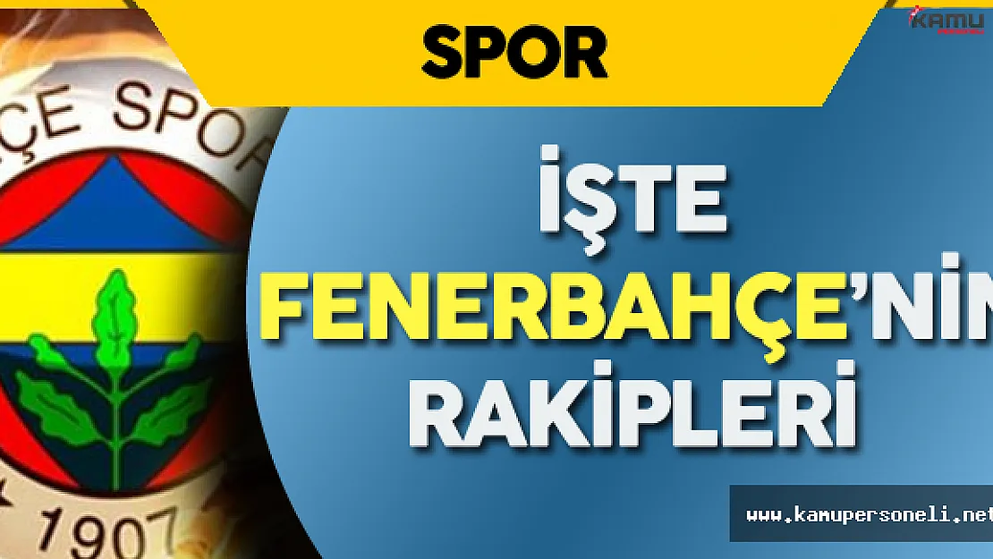 Fenerbahçe Zorlu Gruba Düştü ! İşte Fenerbahçe'nin Uefa Avrupa Ligi'ndeki Rakipleri