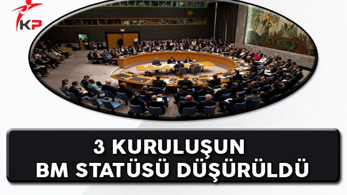 FETÖ Bağlantılı 3 Kuruluşun BM'deki Statüleri Düşürüldü