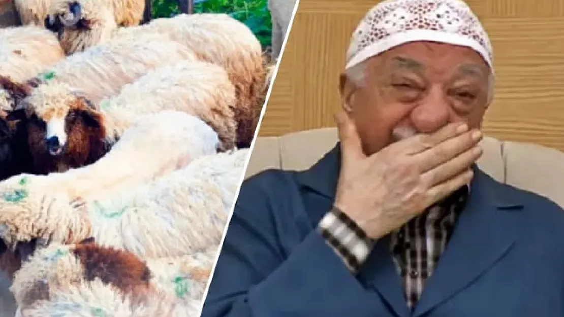 FETÖ'nün Kurban Dolandırıcılığı Ortaya Çıktı! 10 Kurbandan Birisi...
