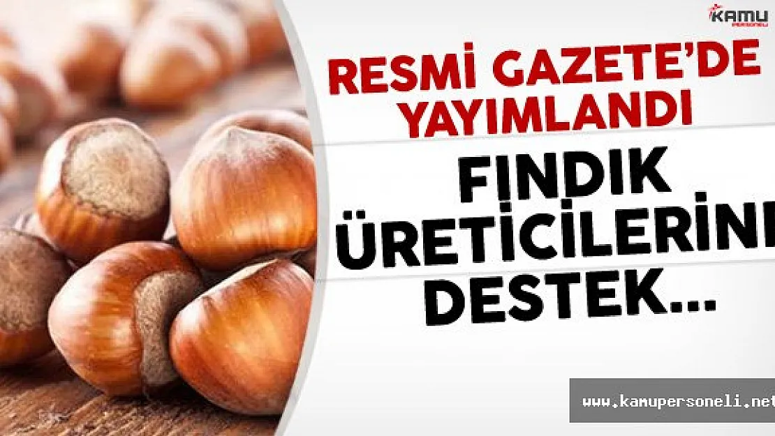Fındık Desteği Resmi Gazete'de Yayımlandı