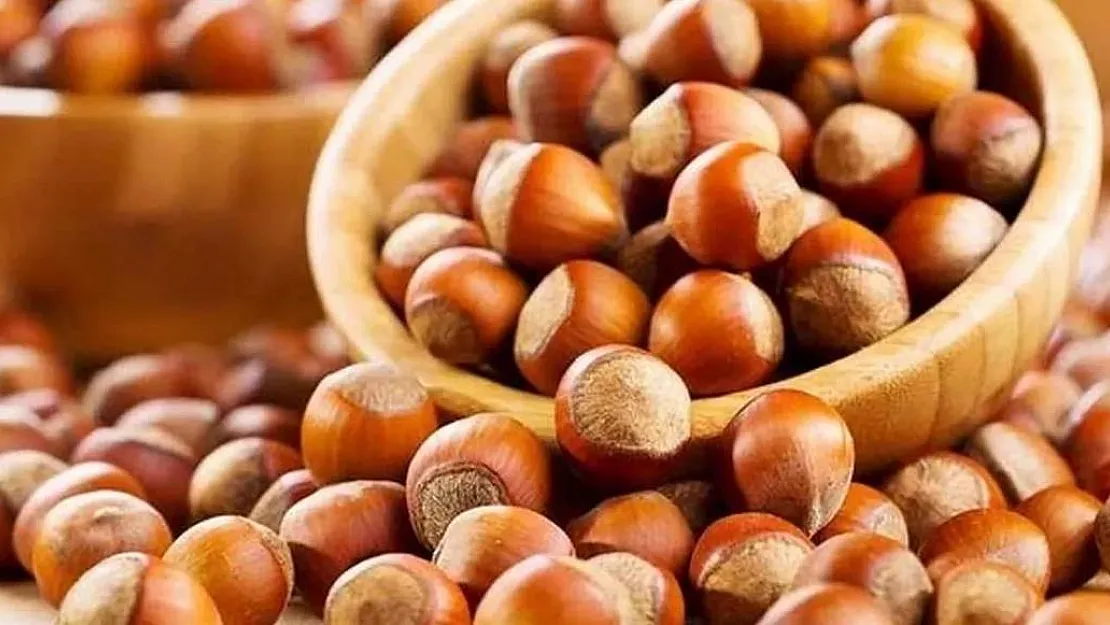 Fındık fiyatı 83 liraya yükseldi