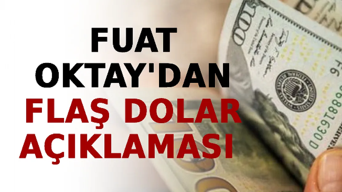Fuat Oktay'dan Flaş Dolar Açıklaması