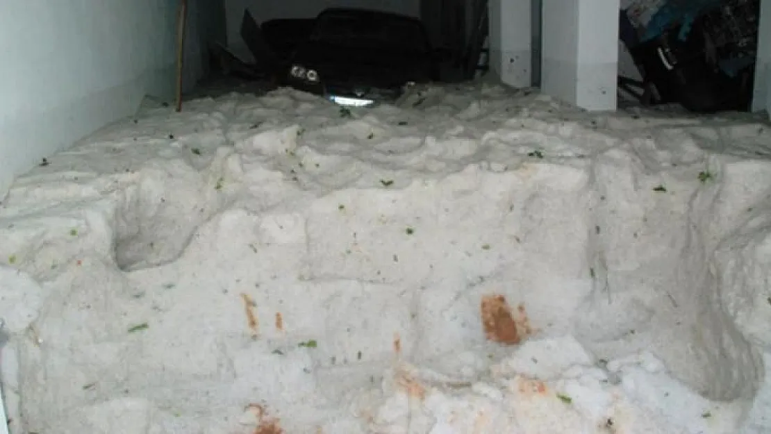 Garajı dolu bastı, görenler gözlerine inanamadı