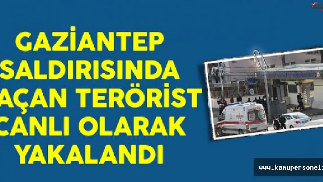 Gaziantep Saldırısında Kaçan Terörist Canlı Olarak Yakalandı