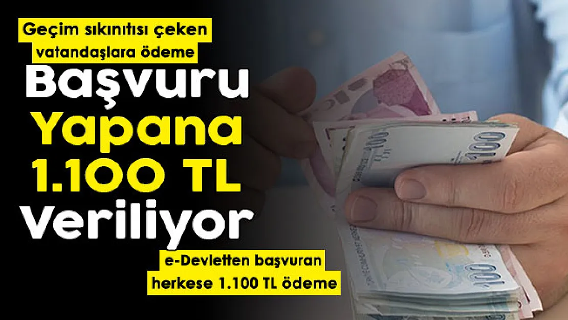 Geçim sıkıntısı yaşayan vatandaşlara para veriliyor! e-Devletten başvuran herkese 1.100 TL veriliyor