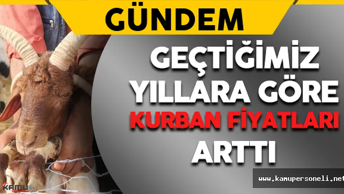 Geçtiğimiz Yıllara Göre Kurban Fiyatları Arttı