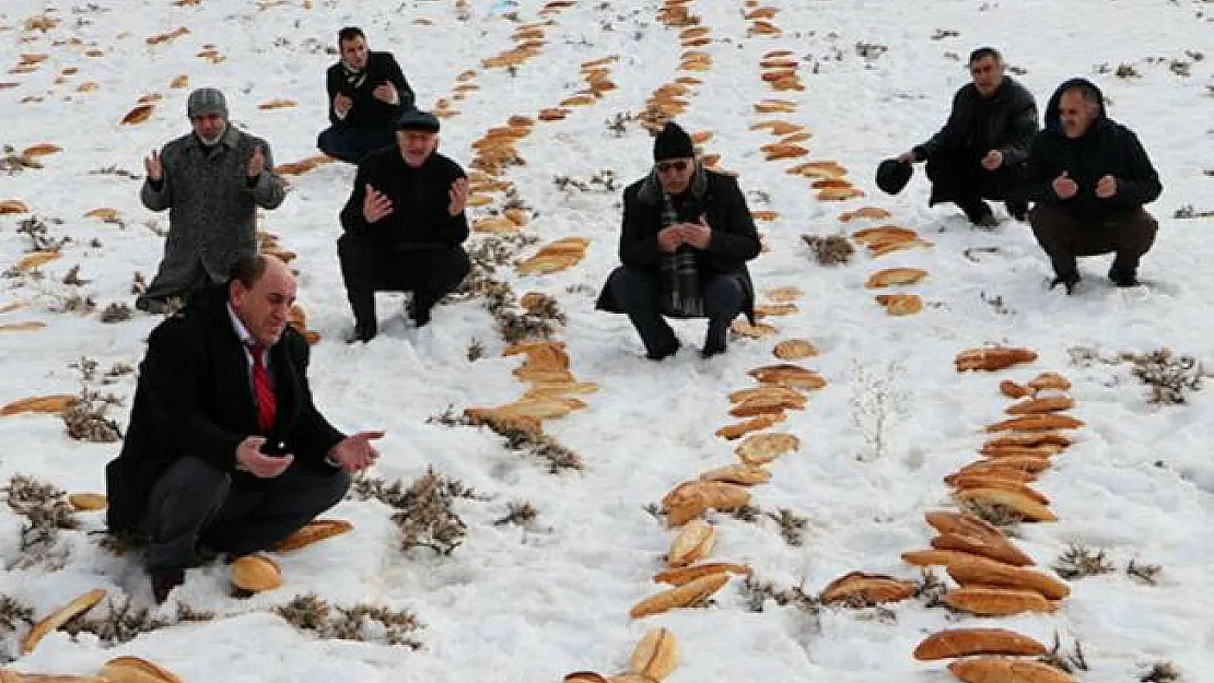 Geleneği Sürdürüyorlar: Doğaya 2001 Ekmek Bırakıldı!