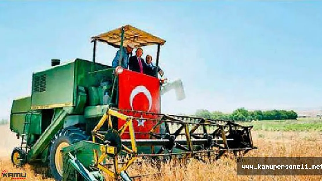 Geleneksel 33.Hasat Bayramı Düzenlendi