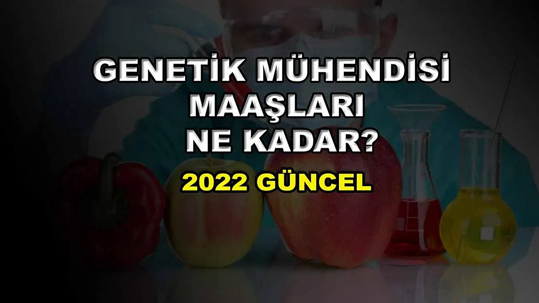Genetik Mühendisi Maaşları Ne Kadar? 2022 Güncel