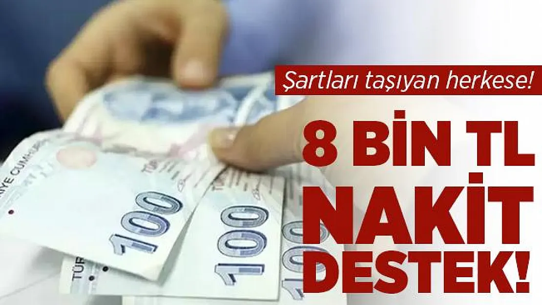 Gerekli şartları taşıyan herekse devletten 8 bin TL nakit destek! Başvuru şartları neler?