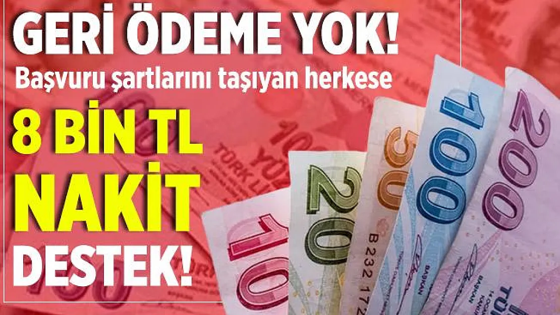 Geri ödeme yok! Bu şartları taşıyanlara nakit 8 bin TL destek veriliyor!