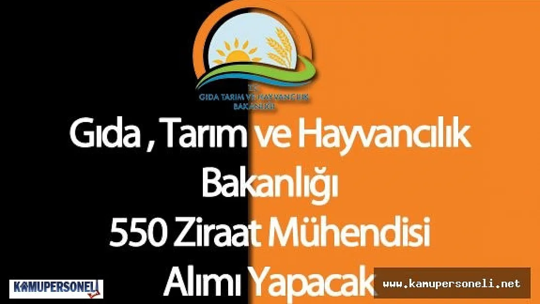 Gıda Tarım ve Hayvancılık Bakanlığı 550 Ziraat Mühendisi Alımı Yapacak