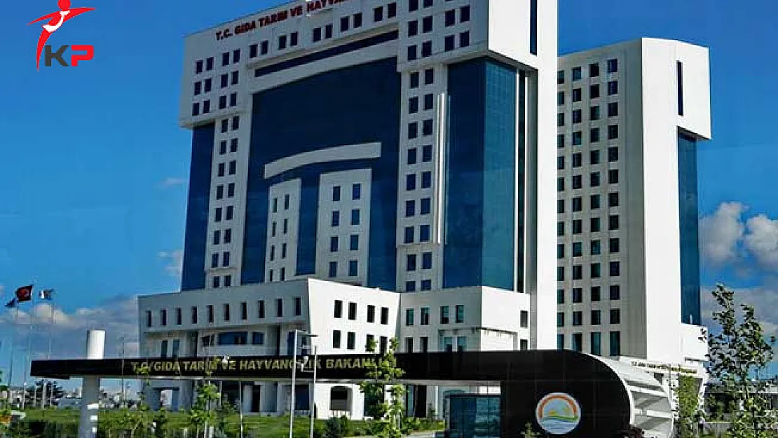 Gıda Tarım ve Hayvancılık Bakanlığı (GTHB) 3 Bin 500 Memur Alımı Yapacak