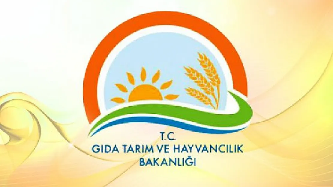 Gıda Tarım ve Hayvancılık Bakanlığı Yüksek Maaşla Sözleşmeli Personel Alıyor