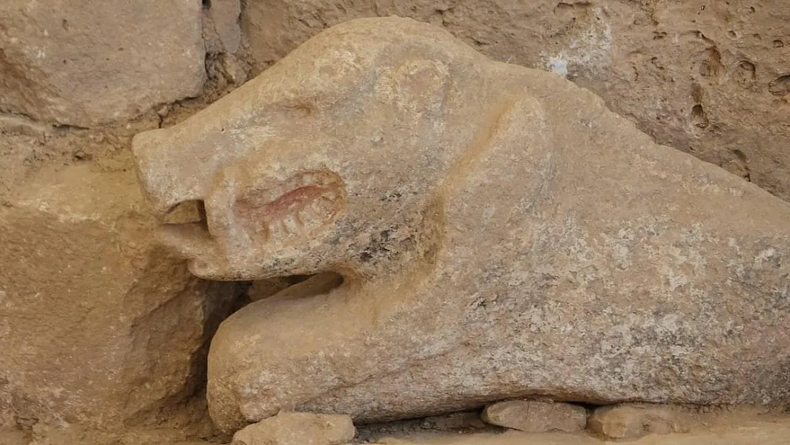 Göbeklitepe'de Tarihi Keşif: İlk Boyalı Yaban Domuzu Heykeli