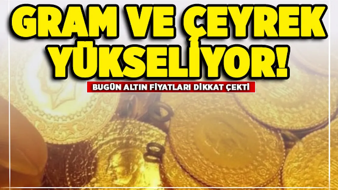 Gram altın ve çeyrek altın yükselişe başladı! İşte 14 Kasım güncel altın fiyatları