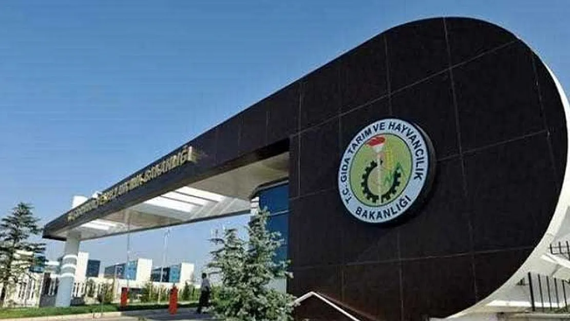 GTHB 3 Bin 500 Memur Alımı Hangi Kadrolarda Yapılacak? Talepleriniz Neler?