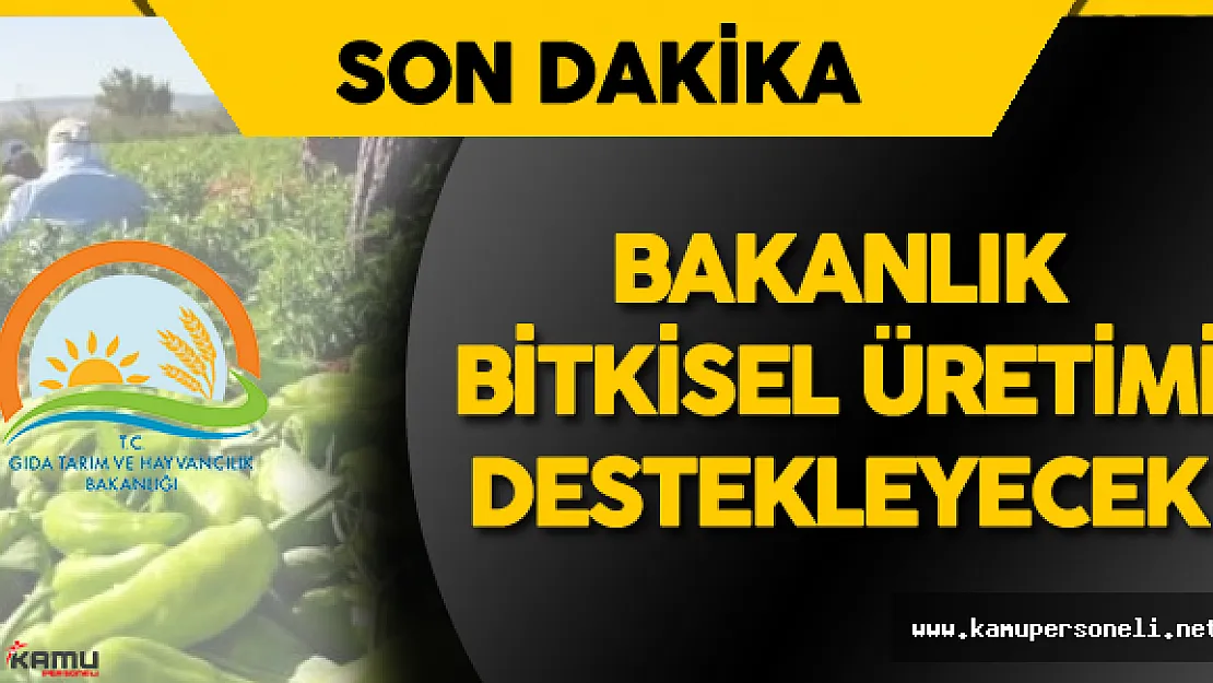 GTHB Bitkisel Üretime Destekleme Ödemesi Yapılmasına Dair Tebliği Resmi Gazete'de