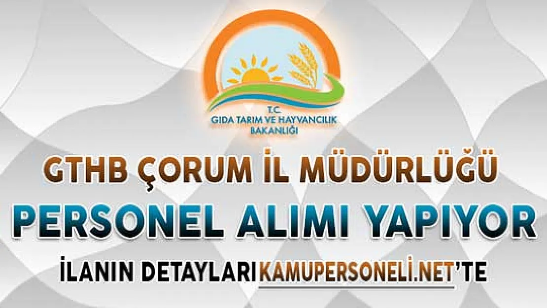 GTHB Çorum İl Müdürlüğü Personel Alımı Yapıyor