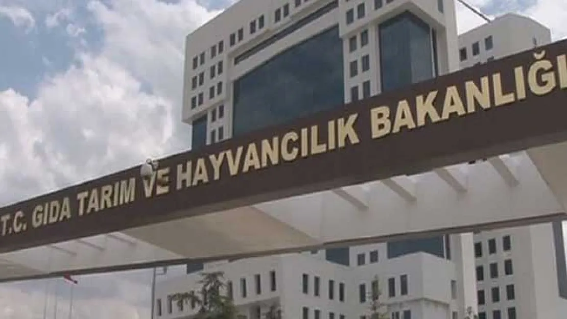 GTHB Şehit ve Malul Yakınlarının Açıktan Atanabilmesi için İstenilecek Belgeler Açıklandı