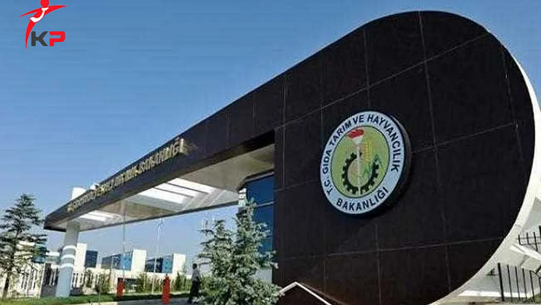GTHB Şehit ve Malul Yakınlarının Atamalarına Esas İstenecek Belgeler Yayımlandı