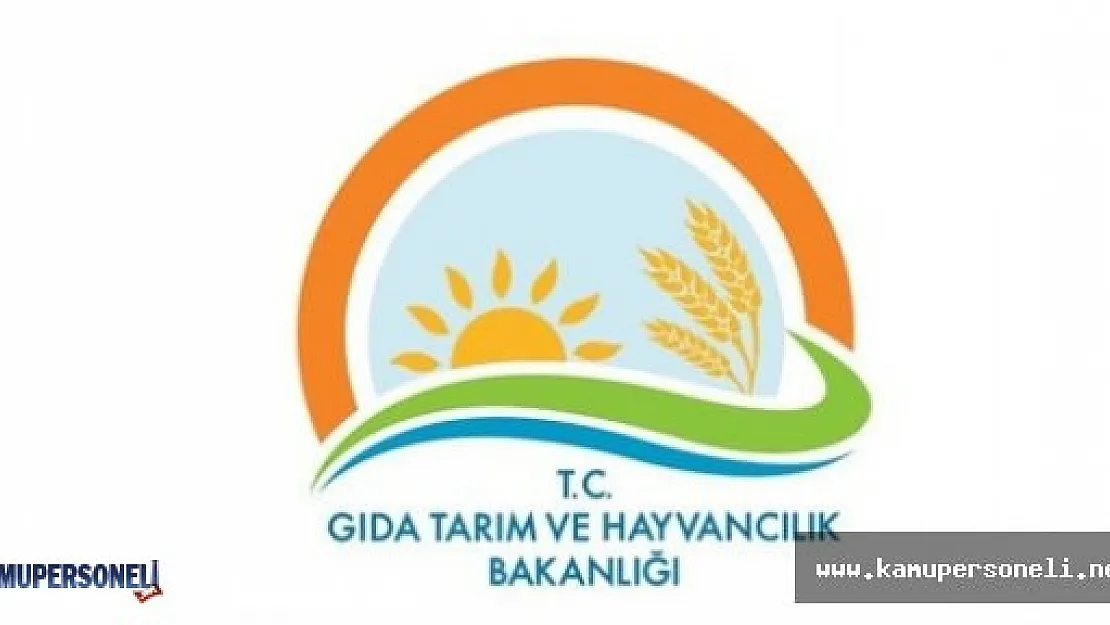 GTHB Yarım Zamanlı Çalışma Duyurusu