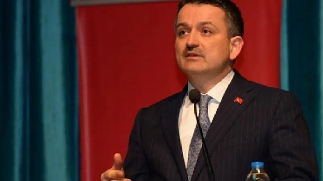 Gümrüksüz Patates İthalatı Hakkında Bakandan Açıklama