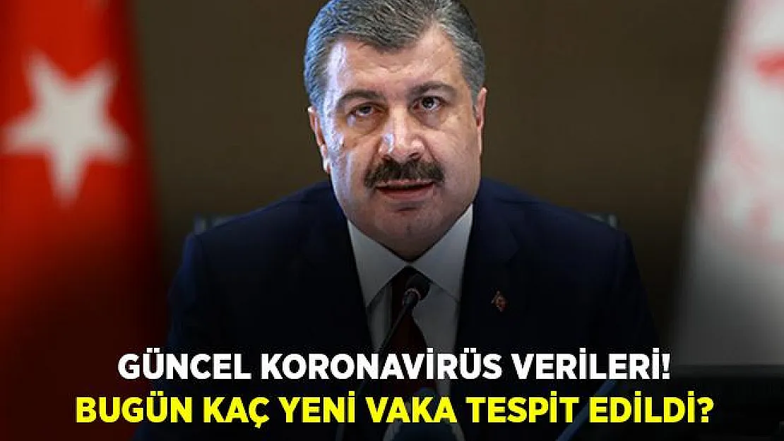 Güncel koronavirüs verileri! Vaka ve ölüm sayısı kaç oldu?