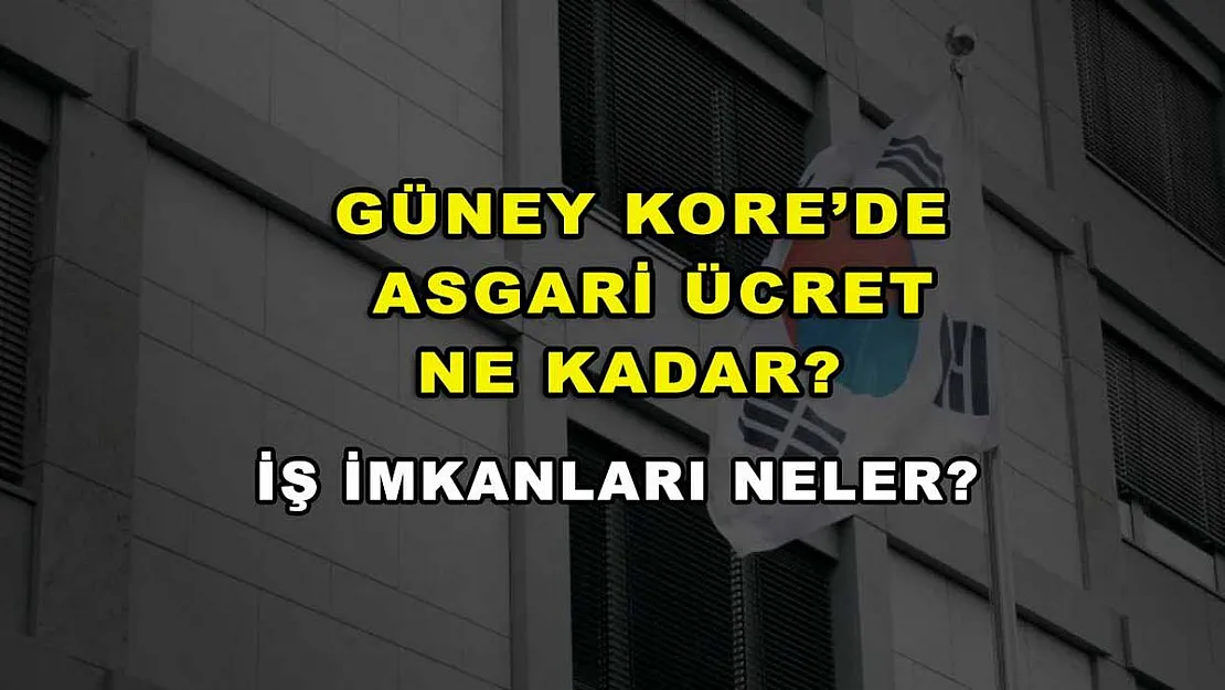 Güney Kore'de Asgari Ücret Ne Kadar? İş İmkanları Neler?