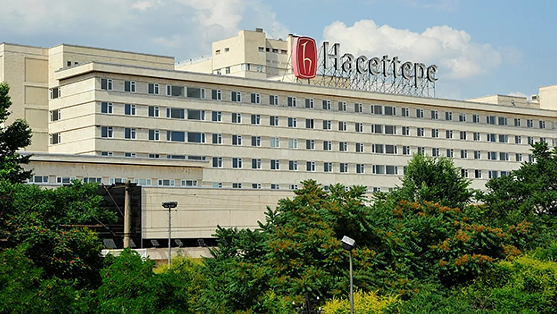 Hacettepe Üniversitesi, 3 Kıdemli Bilişim Uzmanı Alacak
