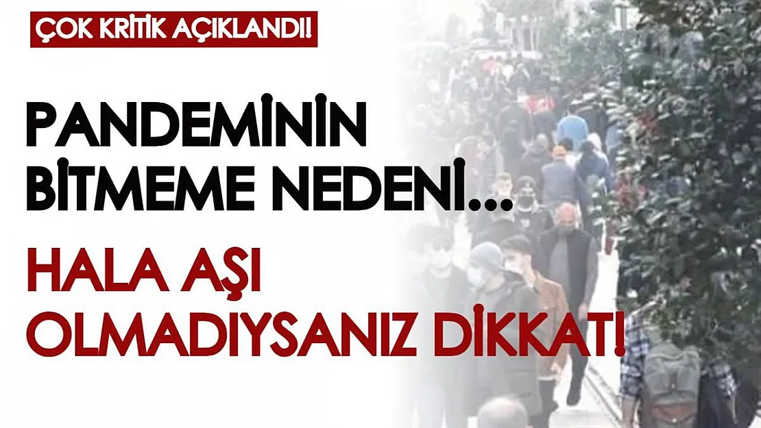Hâlâ aşı olmayanlar için kritik açıklamalar: Pandeminin bitmeme nedeni...