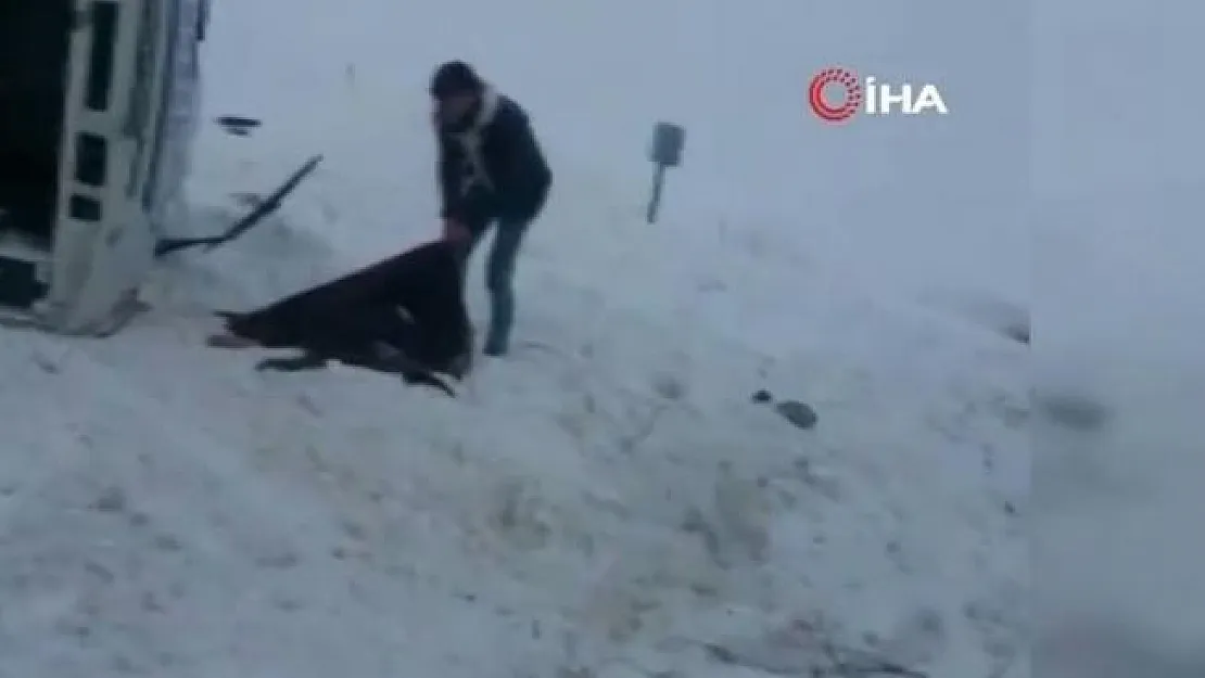 Halk otobüsü şarampole yuvarlandı! 1 ölü, 20 yaralı