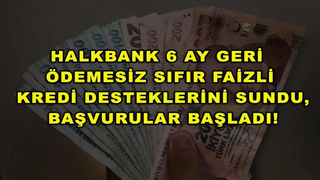 Halkbank 6 ay geri ödemesiz sıfır faizli kredi desteklerini sundu, başvurular başladı!