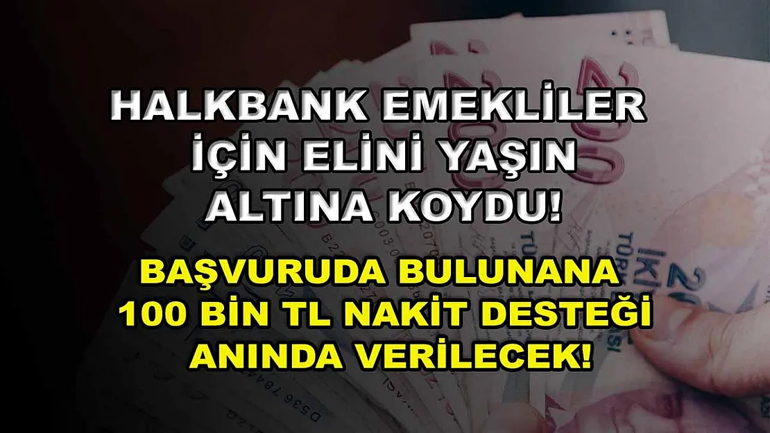 Halkbank emekliler için elini yaşın altına koydu! Başvuruda bulunana 100 bin TL nakit desteği anında verilecek!
