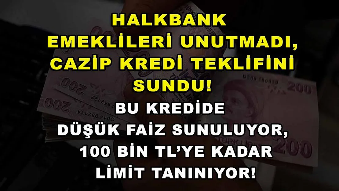 Halkbank emeklileri unutmadı, cazip kredi teklifini sundu! Bu kredide düşük faiz sunuluyor, 100 bin TL'ye kadar limit tanınıyor!