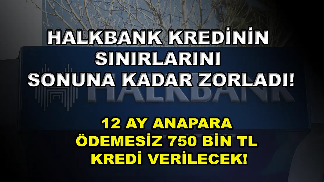 Halkbank kredinin sınırlarını sonuna kadar zorladı! 12 ay anapara ödemesiz 750 bin TL kredi verilecek!