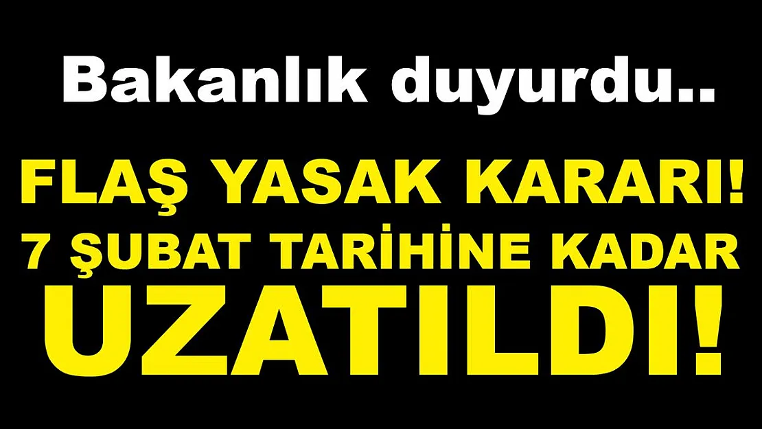 Hamsi av yasağı 7 Şubat'a kadar uzatıldı!