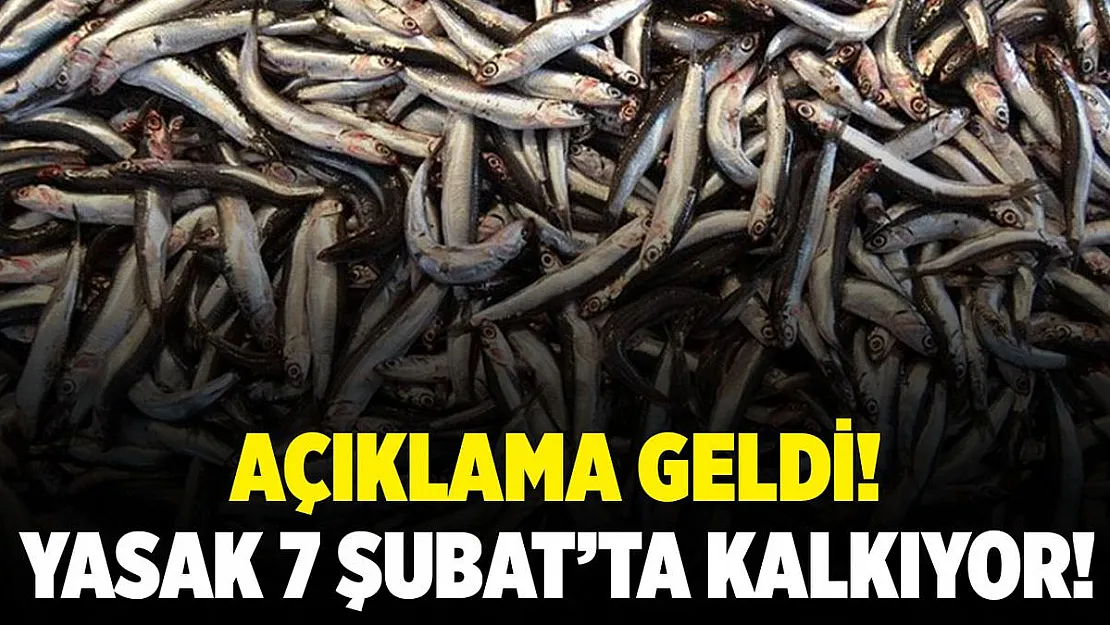 Hamsi av yasağı 7 Şubat'ta kalkıyor!