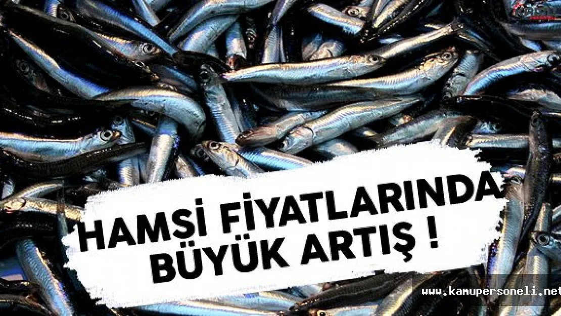 Hamsi Fiyatları Tavan Yaptı
