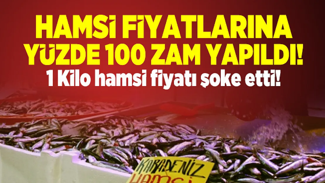 Hamsi fiyatlarına yüzde 100 zam yapıldı! 1 Kilo hamsi fiyatı şoke etti!