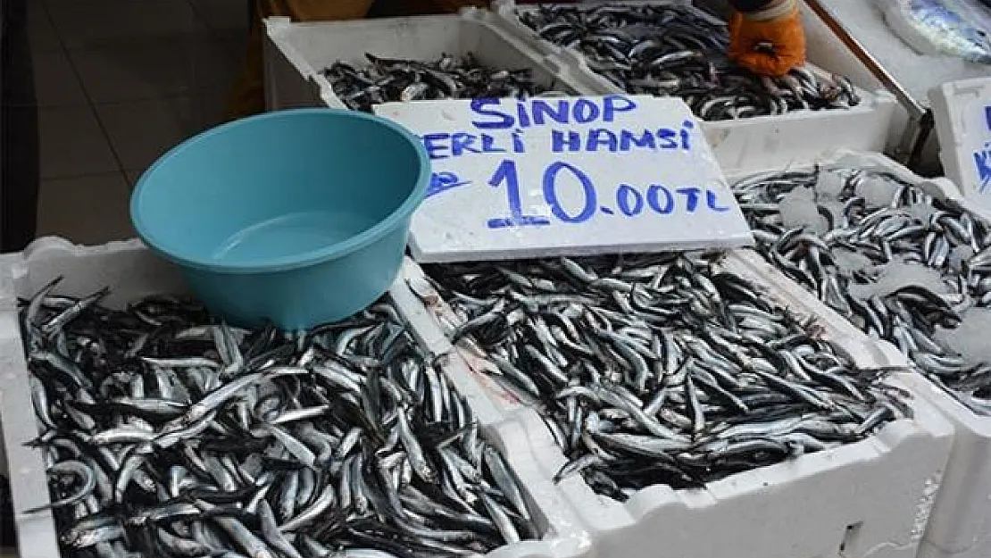 Hamsinin fiyatı düştü! Hamsi kilo fiyatı 10 liradan satılıyor.