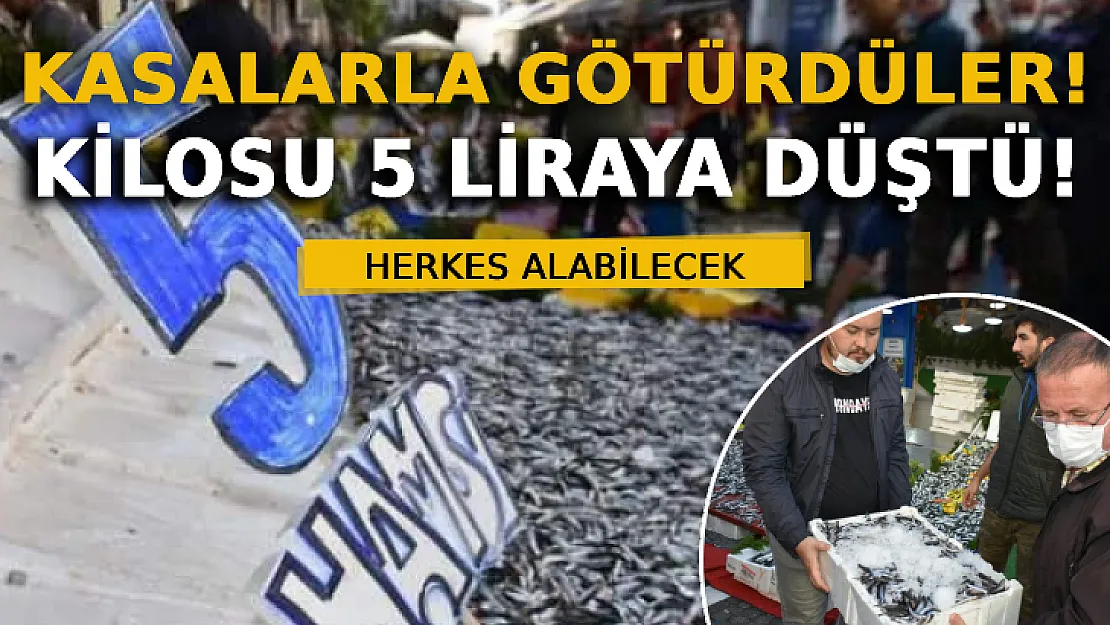 Hamsinin Kilosu 5 Liraya Düştü! Kasalarla Götürdüler