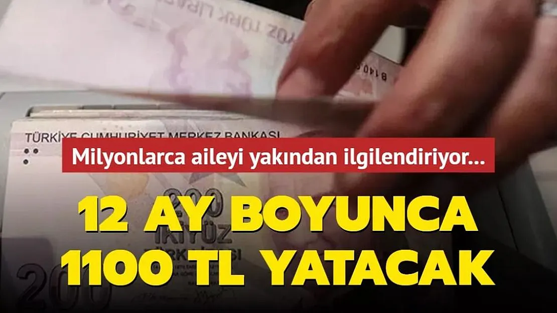 Hane başına 12 ay boyunca 1100 TL ödenmesine karar verildi! Her ayın 28'inde ödemeler hesaplara yatırılıyor!