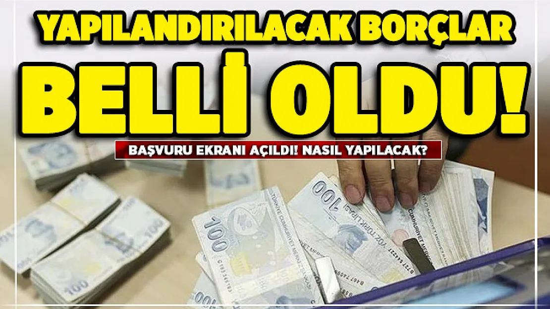 Hangi borçların yapılandırılacağı belli oldu! Başvuruların nasıl yapılacağı belli oldu: İşte başvuru ekranı