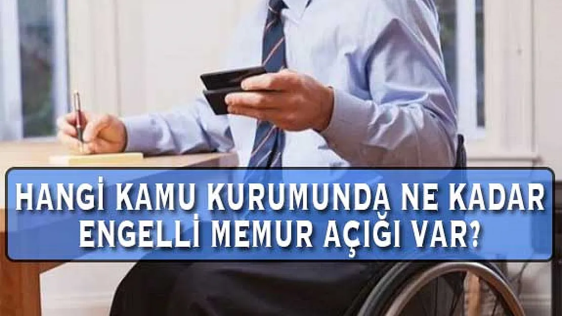 Hangi Kamu Kurumunda Ne Kadar Engelli Memur Açığı Var?
