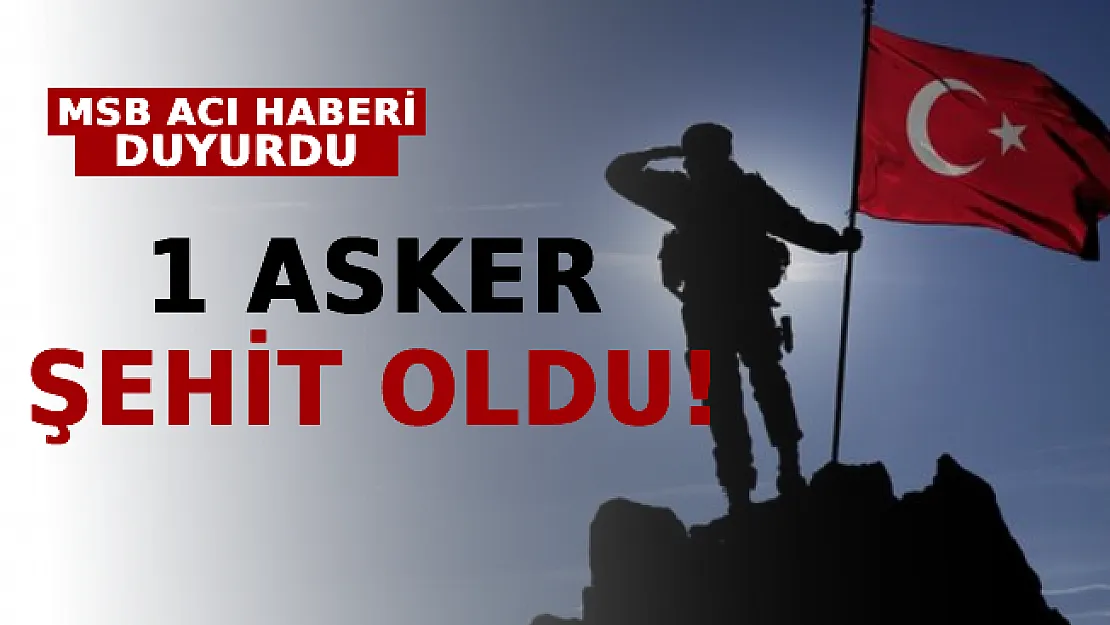 Harekat Bölgesinden Acı Haber Geldi: 1 Asker Şehit Oldu