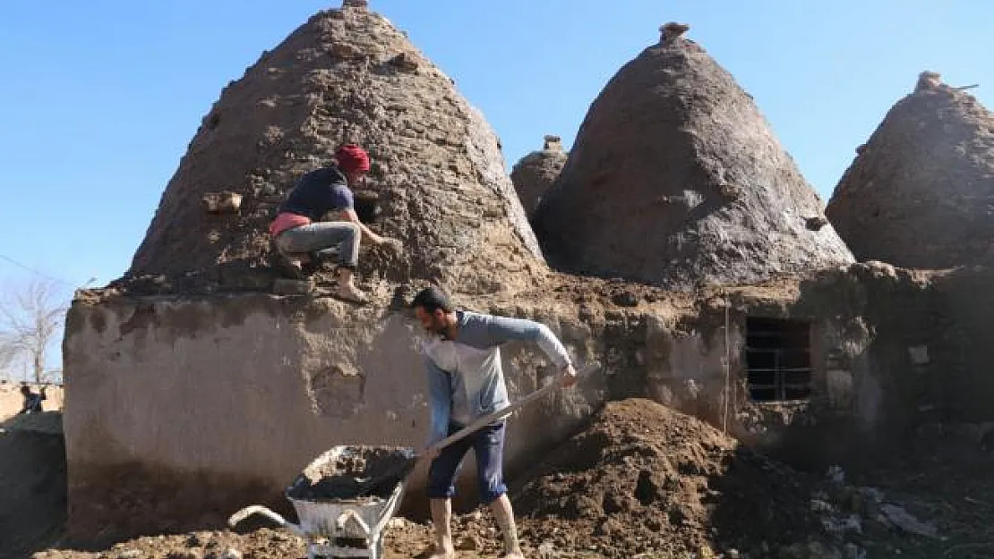 Harran'ın konik kubbeli evlerine bakım