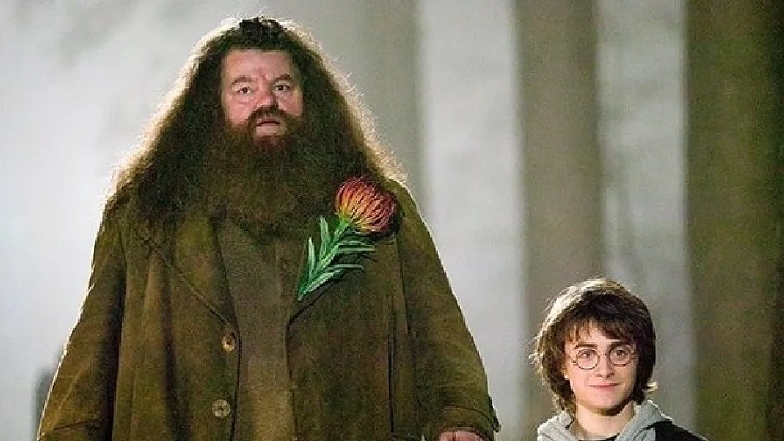 Harry Potter'ın film serilerinde rol almıştı: Ünlü oyuncu öldü! Ölüm sebebi açıklanmadı